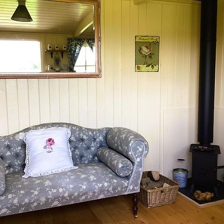 Hotel Lilly'S Pad Bude Exterior foto